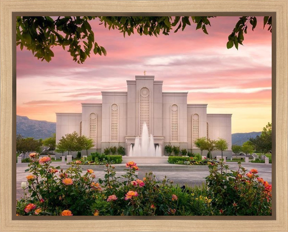 Albuquerque Morning Rose Gallery Wrap