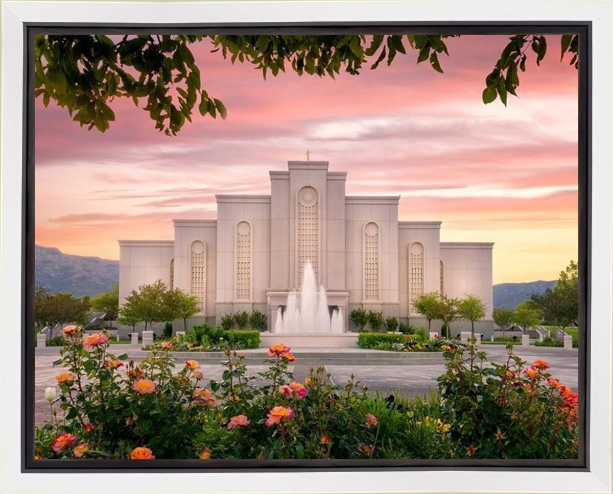 Albuquerque Morning Rose Gallery Wrap