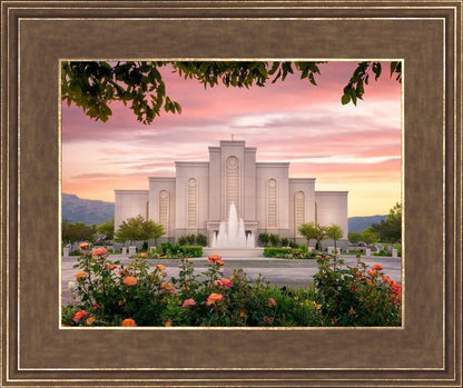 Albuquerque Morning Rose