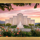Albuquerque Morning Rose