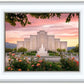 Albuquerque Morning Rose