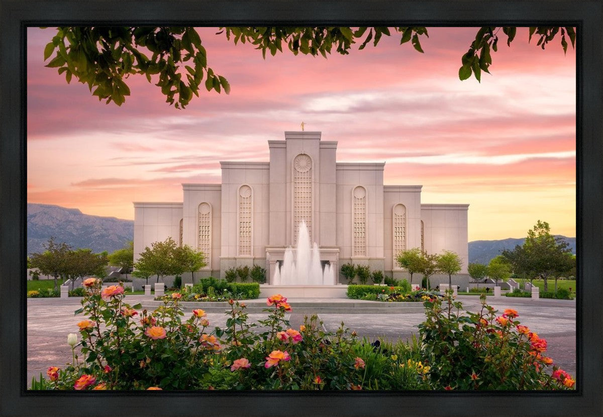 Albuquerque Morning Rose Gallery Wrap