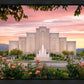 Albuquerque Morning Rose