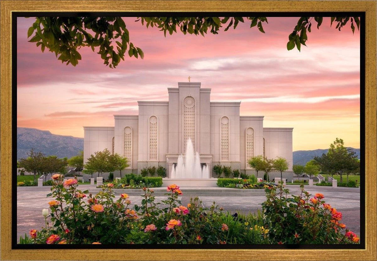 Albuquerque Morning Rose Gallery Wrap