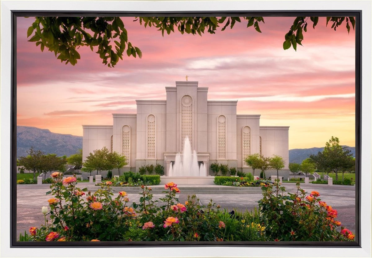 Albuquerque Morning Rose Gallery Wrap
