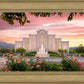 Albuquerque Morning Rose