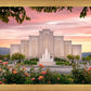 Albuquerque Morning Rose