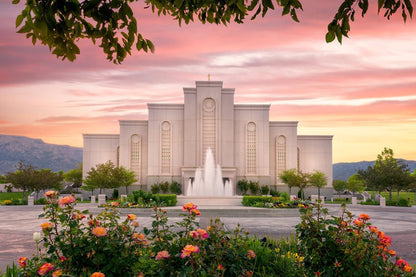 Albuquerque Morning Rose