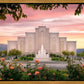 Albuquerque Morning Rose