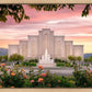 Albuquerque Morning Rose