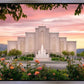 Albuquerque Morning Rose