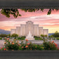 Albuquerque Morning Rose