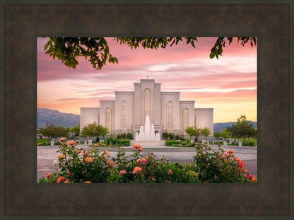 Albuquerque Morning Rose