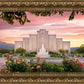 Albuquerque Morning Rose