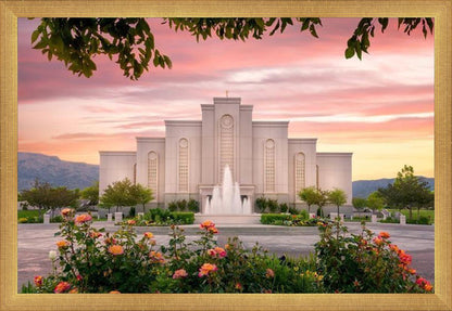 Albuquerque Morning Rose