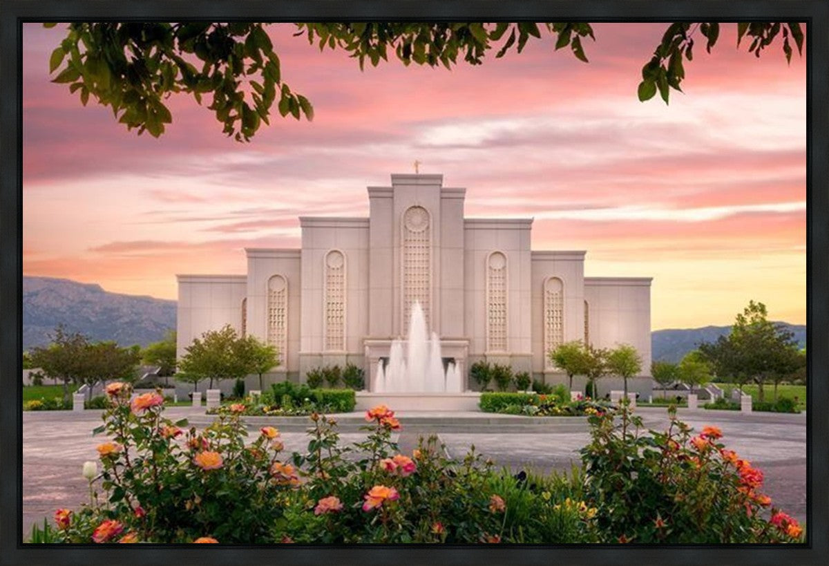Albuquerque Morning Rose Gallery Wrap