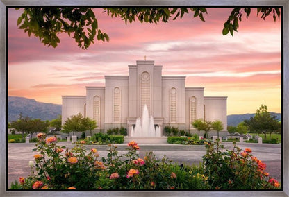 Albuquerque Morning Rose