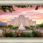 Albuquerque Morning Rose