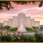 Albuquerque Morning Rose