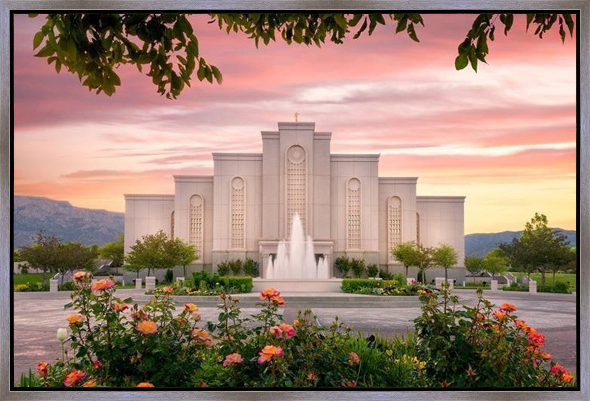 Albuquerque Morning Rose Gallery Wrap