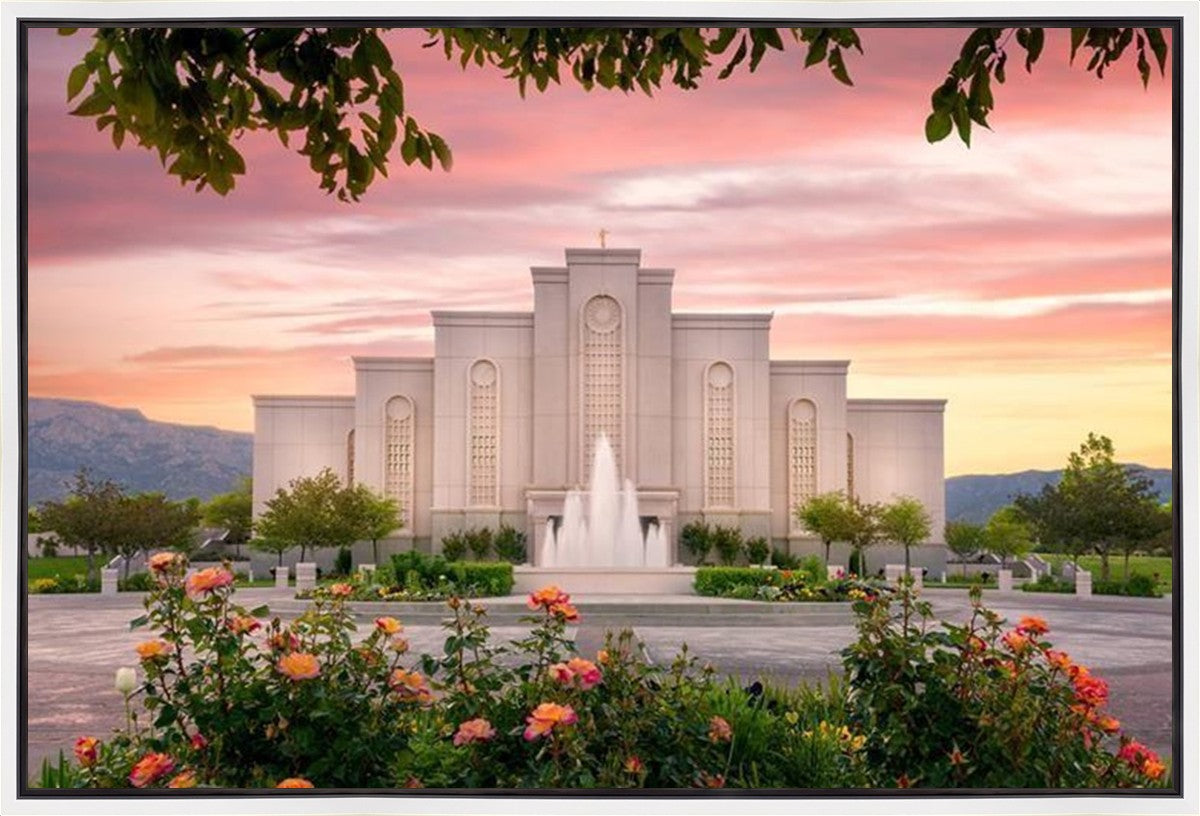 Albuquerque Morning Rose Gallery Wrap