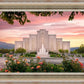 Albuquerque Morning Rose