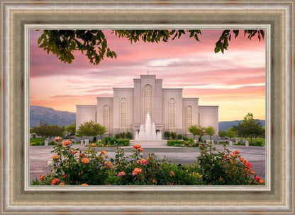 Albuquerque Morning Rose