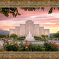Albuquerque Morning Rose