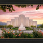 Albuquerque Morning Rose
