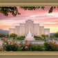 Albuquerque Morning Rose