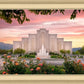 Albuquerque Morning Rose
