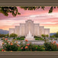 Albuquerque Morning Rose