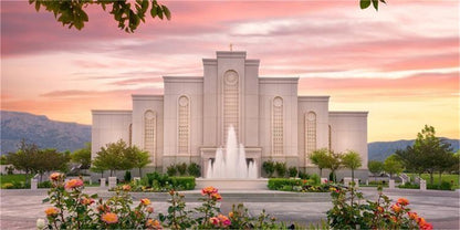Albuquerque Morning Rose