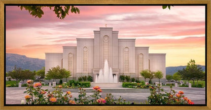 Albuquerque Morning Rose