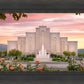 Albuquerque Morning Rose