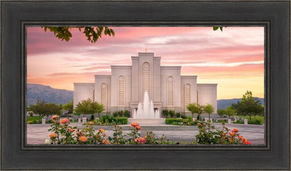 Albuquerque Morning Rose