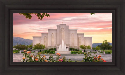 Albuquerque Morning Rose