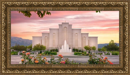 Albuquerque Morning Rose