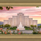 Albuquerque Morning Rose