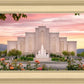 Albuquerque Morning Rose