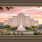 Albuquerque Morning Rose