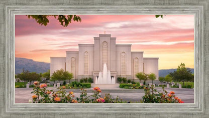 Albuquerque Morning Rose