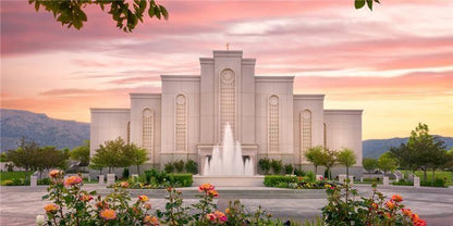 Albuquerque Morning Rose