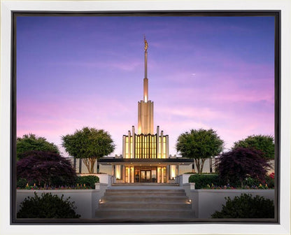 Atlanta Crescent Moon