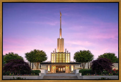 Atlanta Crescent Moon