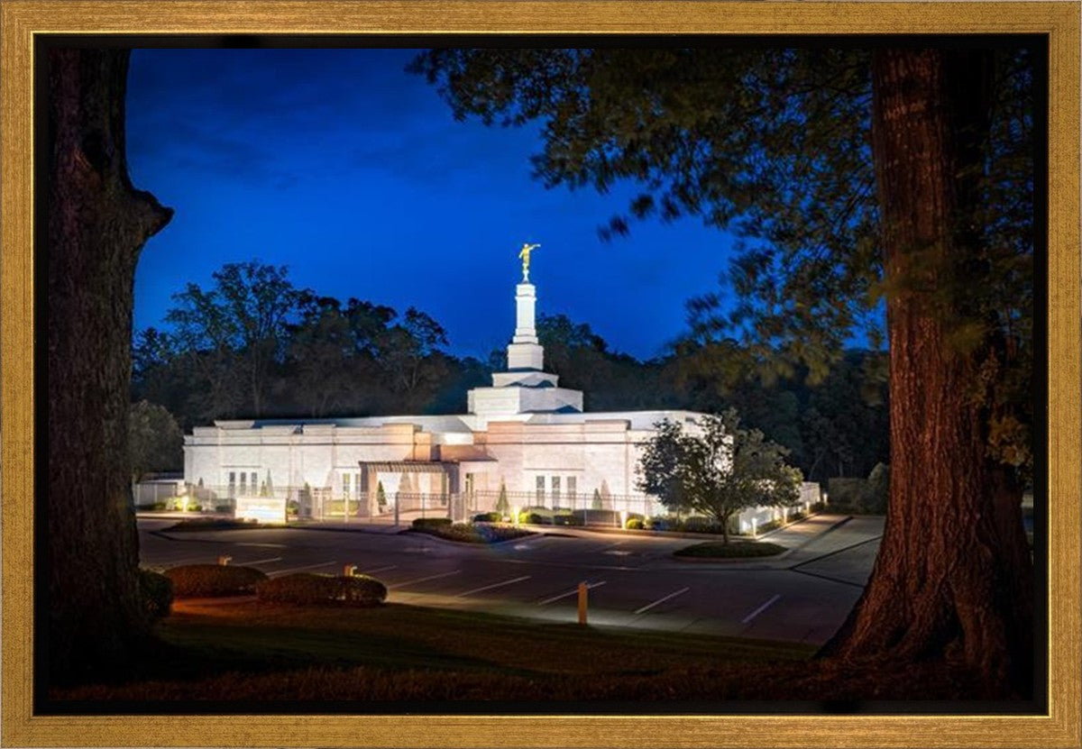 Baton Rouge and the Louisiana Blues Gallery Wrap