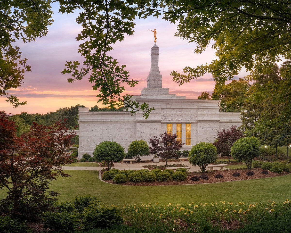 Birmingham Garden