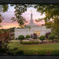 Birmingham Garden