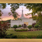 Birmingham Garden