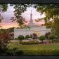 Birmingham Garden